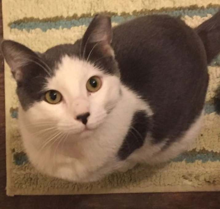 Photo of Tom Tom
