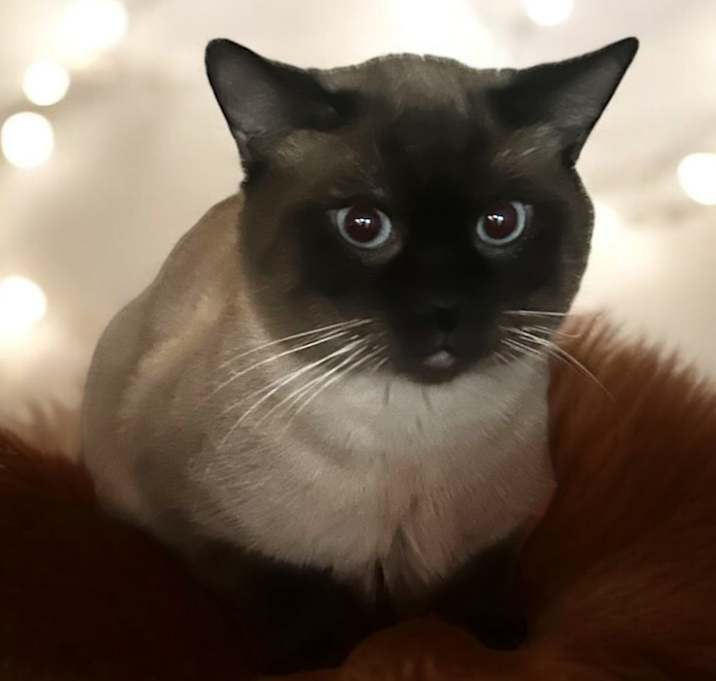 Photo of Tim