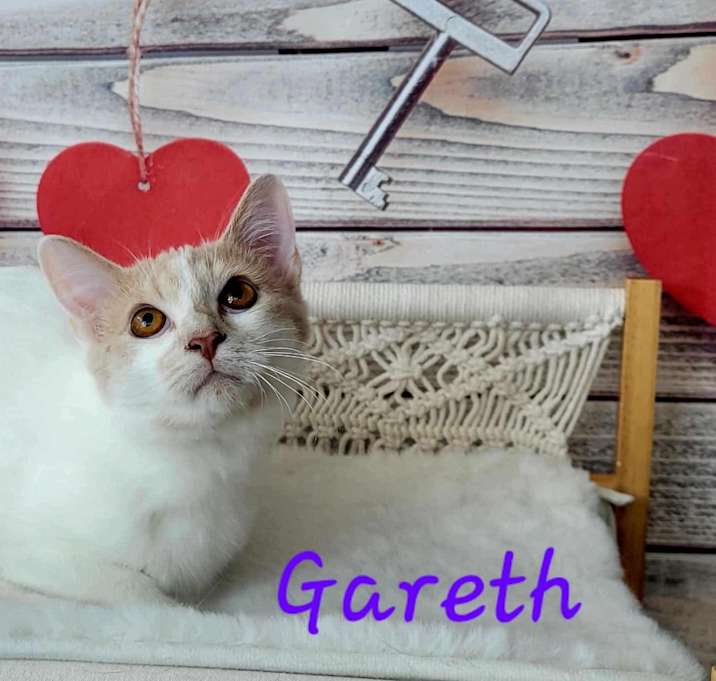 Photo of Gareth