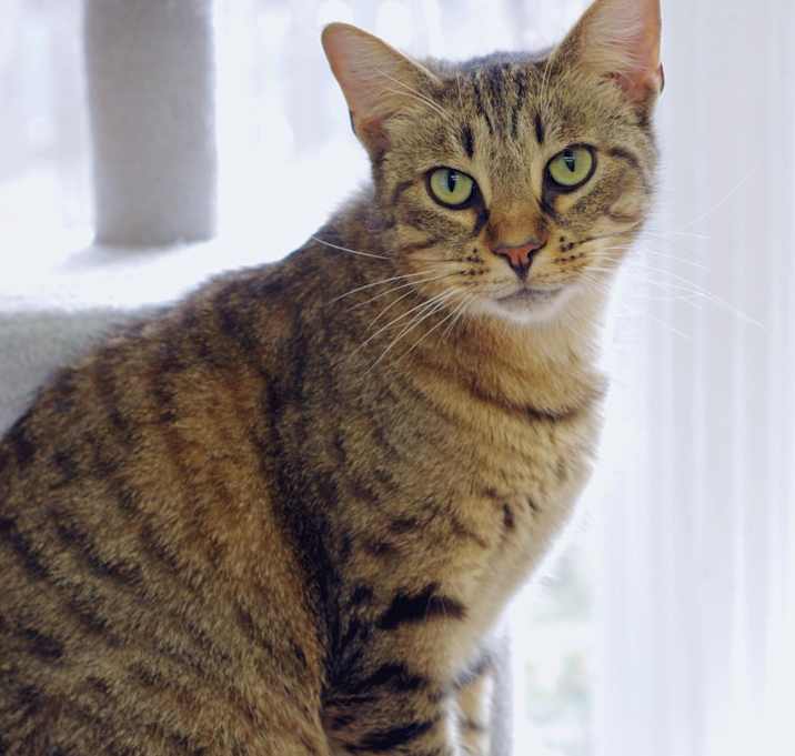 Photo of Sterling