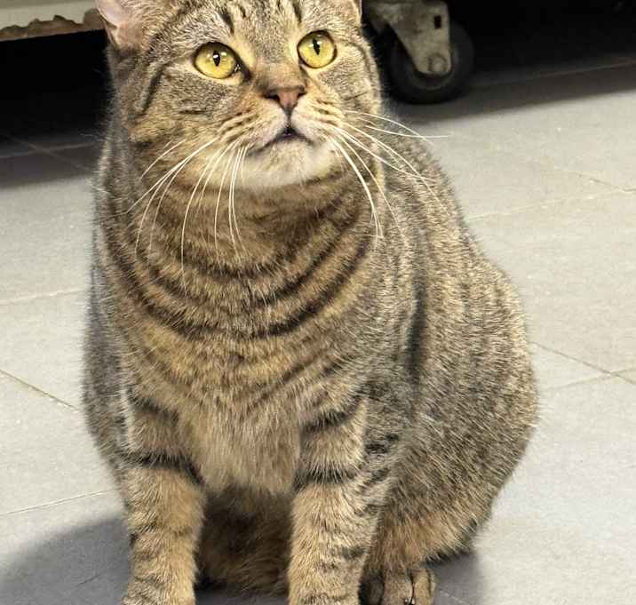 Photo of Hunter