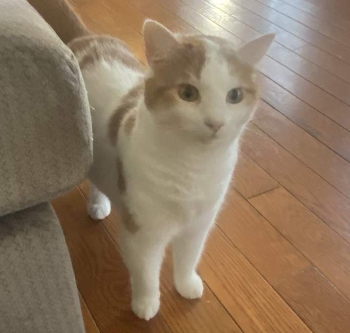 Photo of Mimzy
