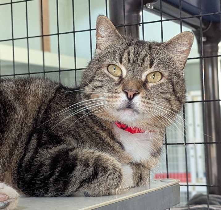 Photo of Roxy