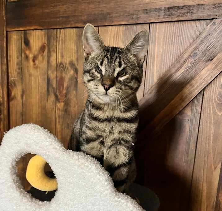 Photo of Andy