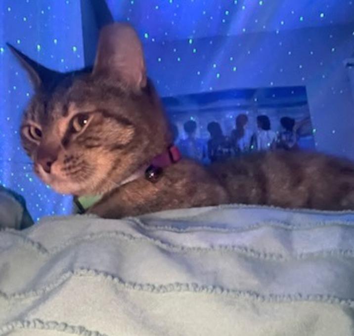 Photo of Tabitha