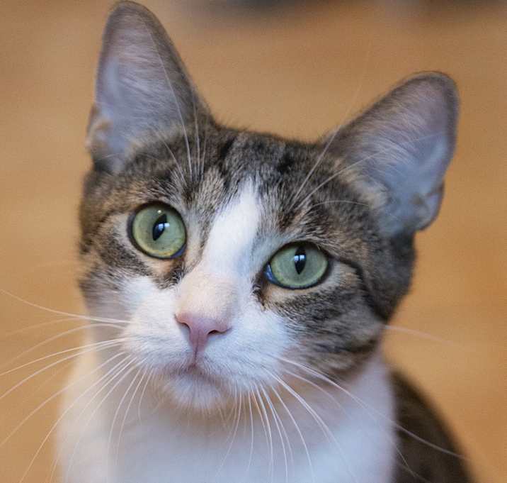 Photo of Mamala (& one of her babies)