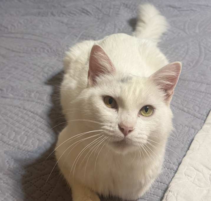Photo of Charlotte