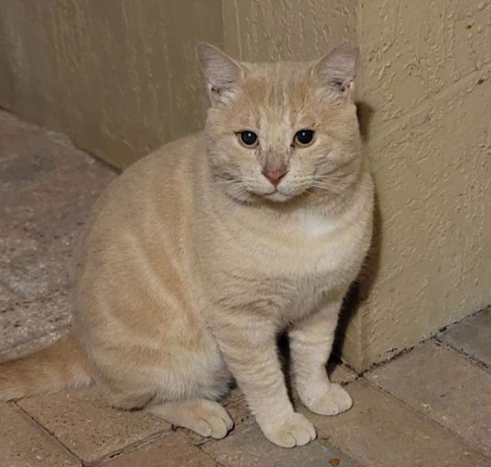 Photo of TABS