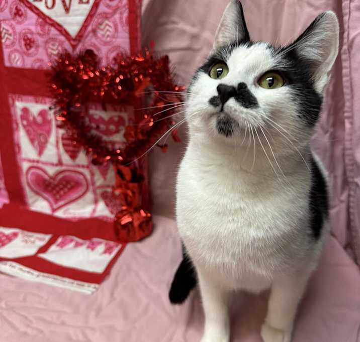 Photo of Kevin
