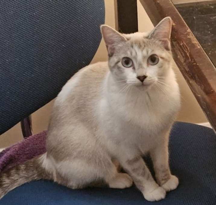 Photo of Velvette
