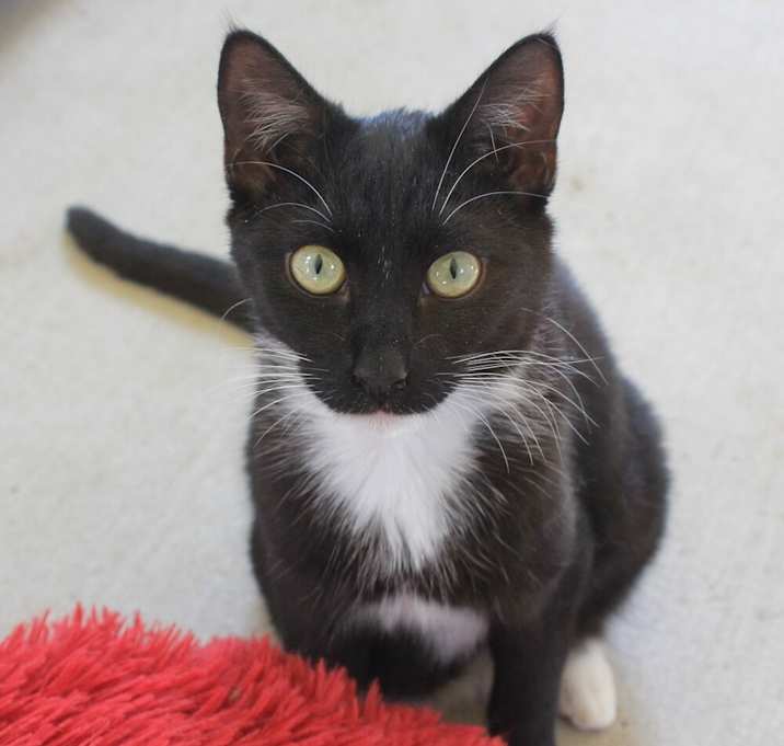 Photo of Winkin
