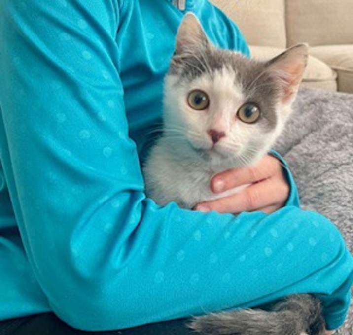 Photo of Luna