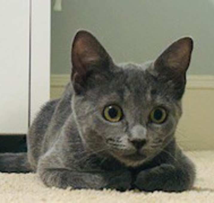 Photo of Stormy