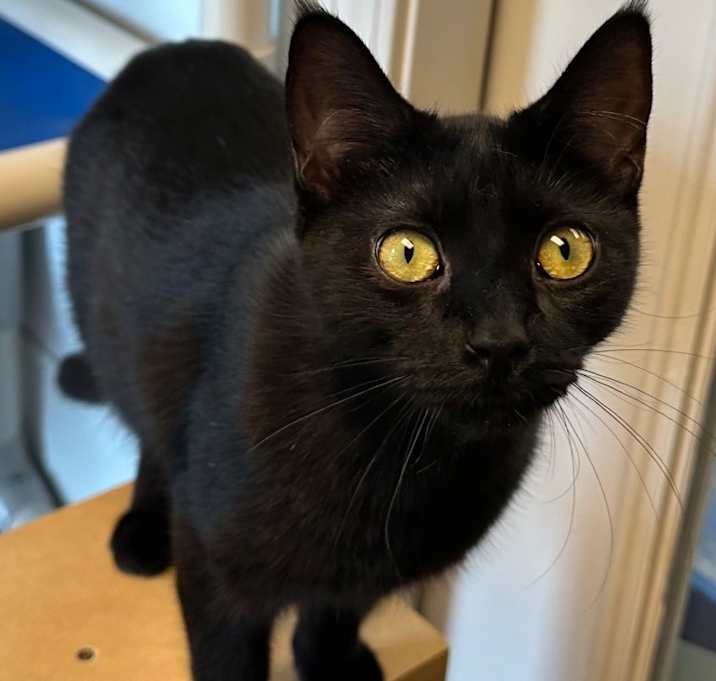 Photo of 9/27/25 - Cocoa