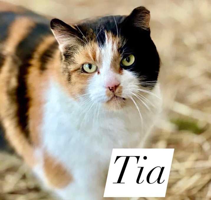 Photo of Tia