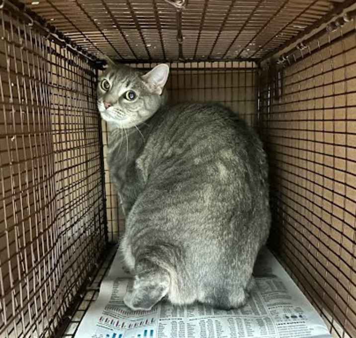 Photo of JUNIPER