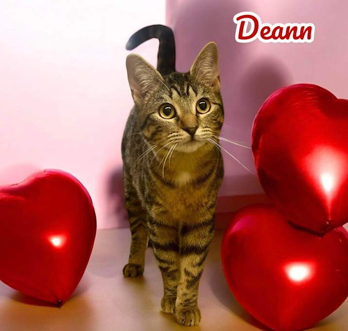 Photo of Deann