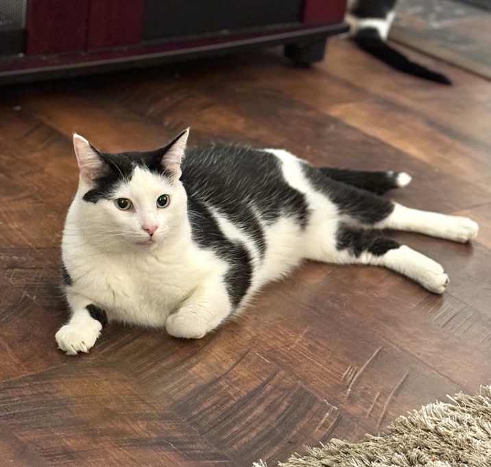 Photo of Petey