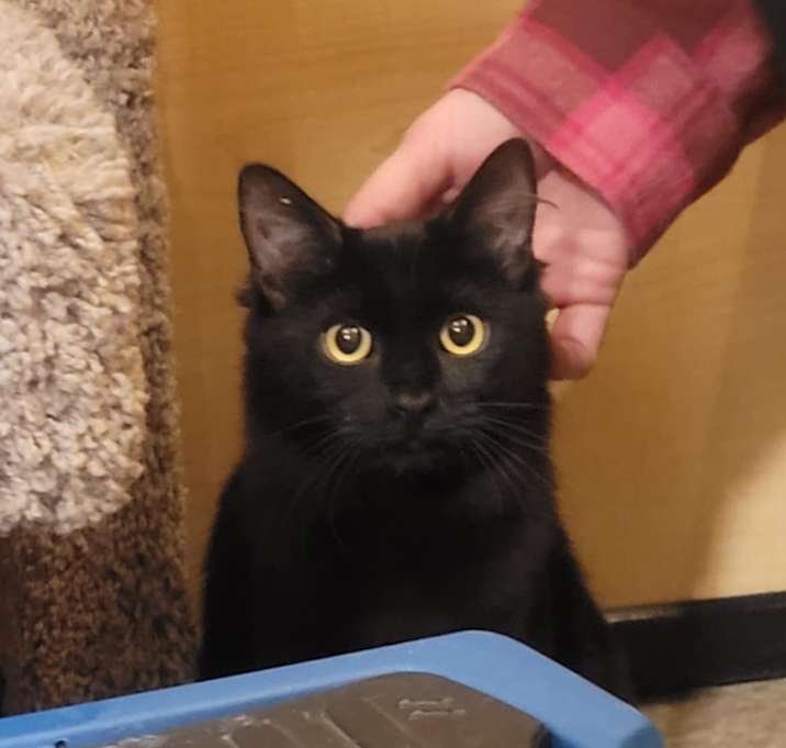 Photo of Daphne