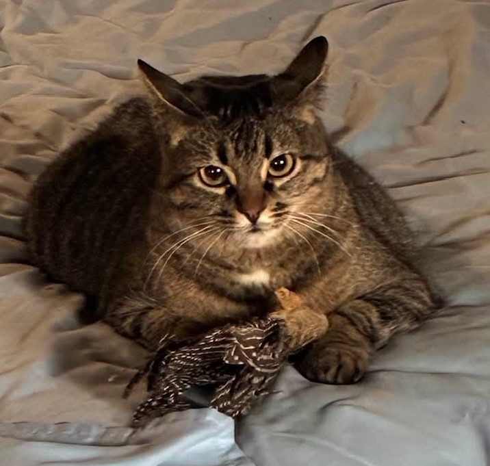 Photo of Eliza