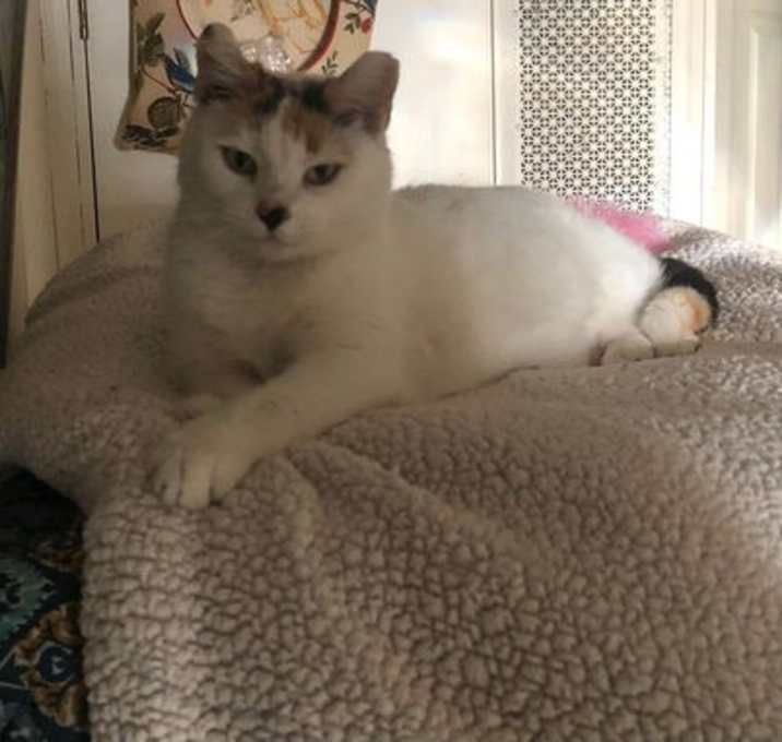 Photo of Cindy