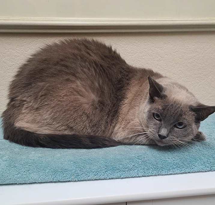 Photo of Heidi