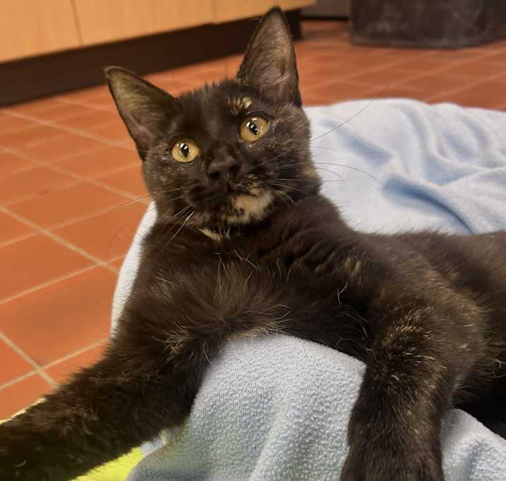 Photo of Bess