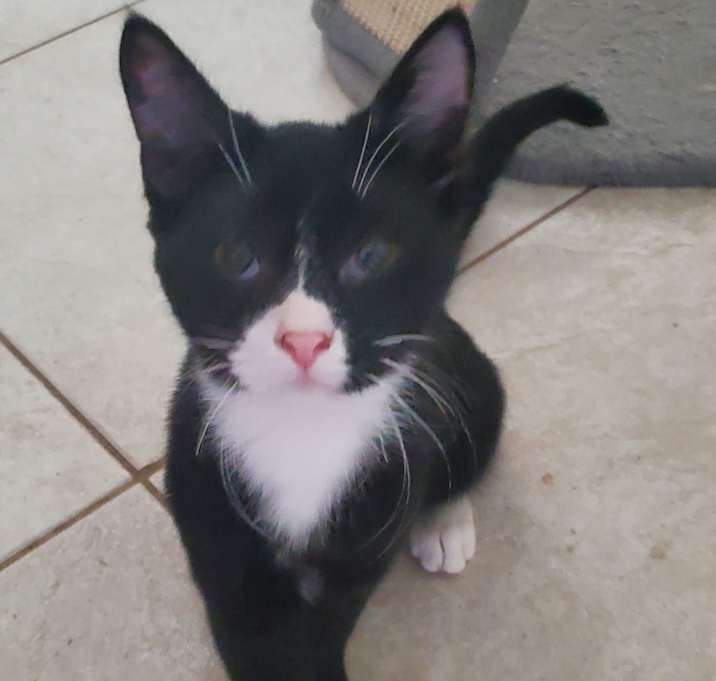 Photo of Tex