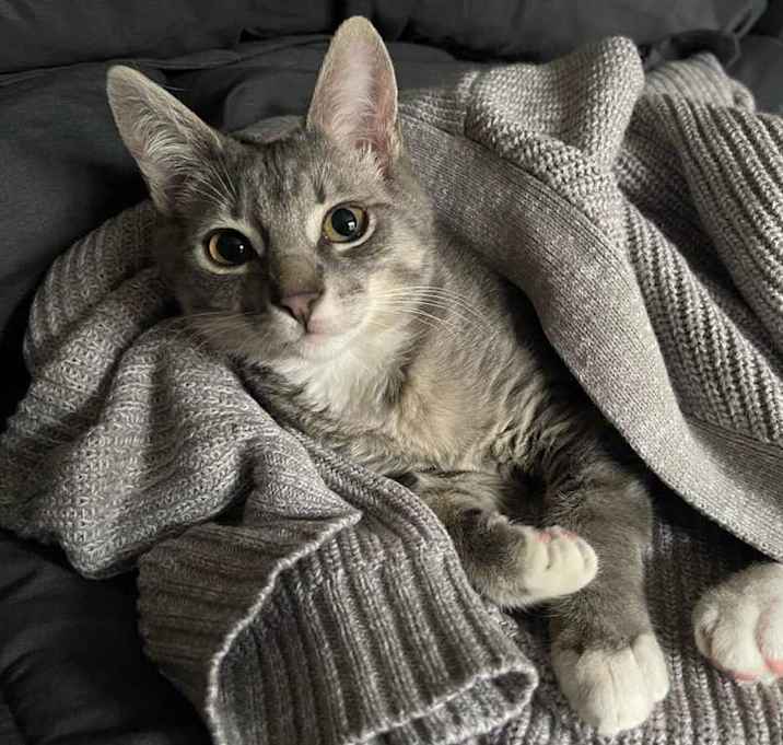 Photo of Bootsie