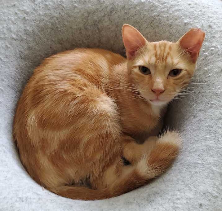 Photo of Reggie
