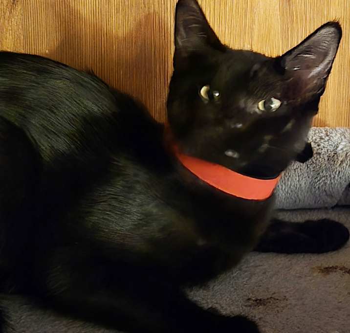 Photo of Cassie