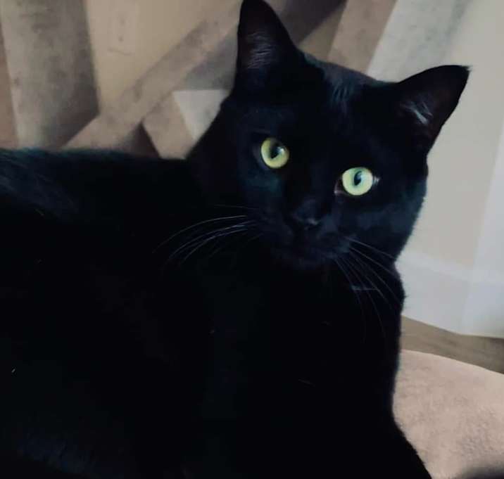 Photo of Winston