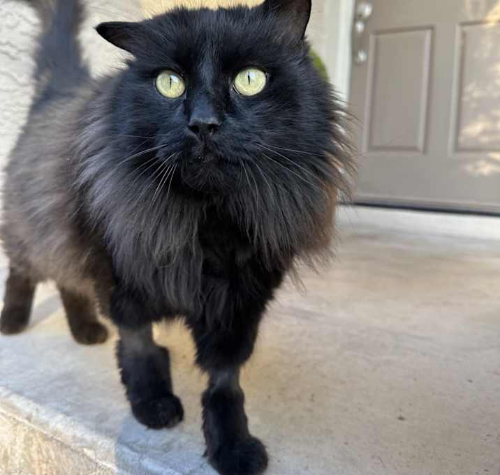 Photo of Remington