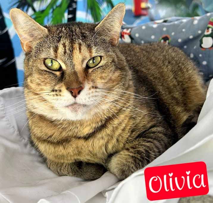Photo of Olivia