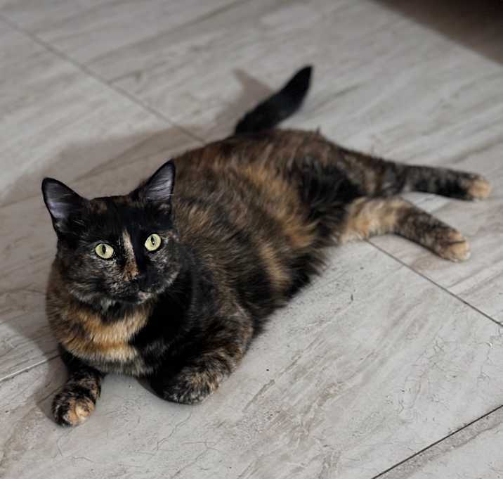 Photo of Chiquita