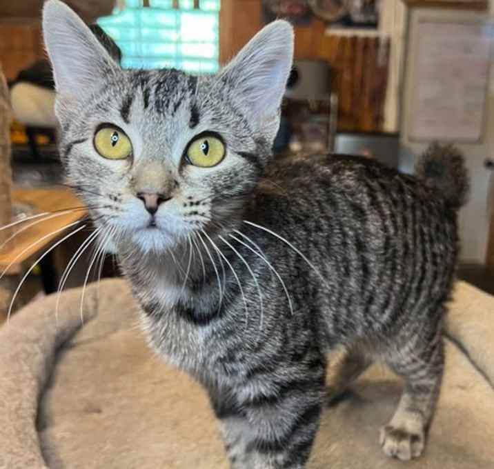 Photo of Bobbie Jean