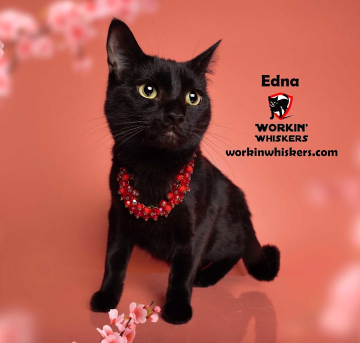Photo of EDNA