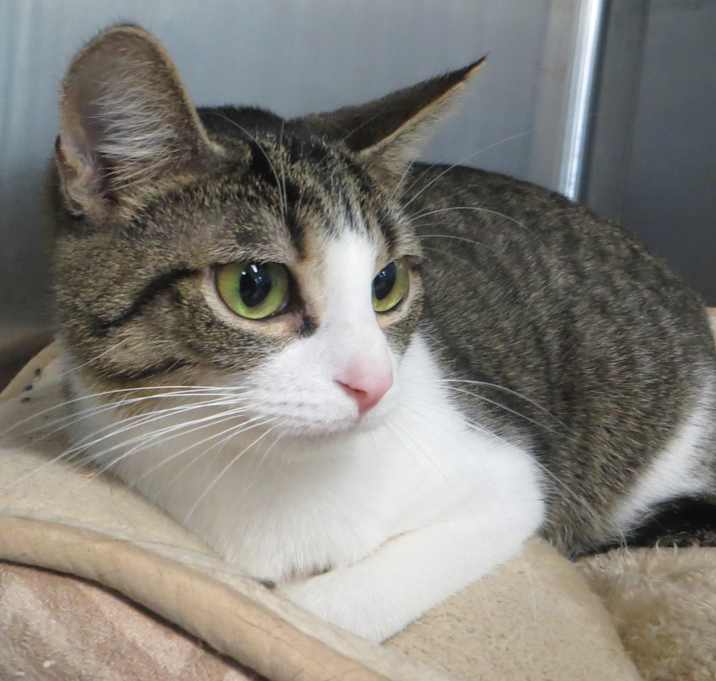 Photo of Tess
