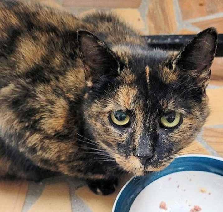 Photo of Crystal