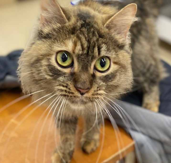 Photo of Madeline