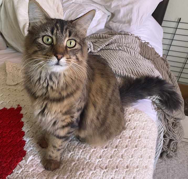 Photo of Ellie