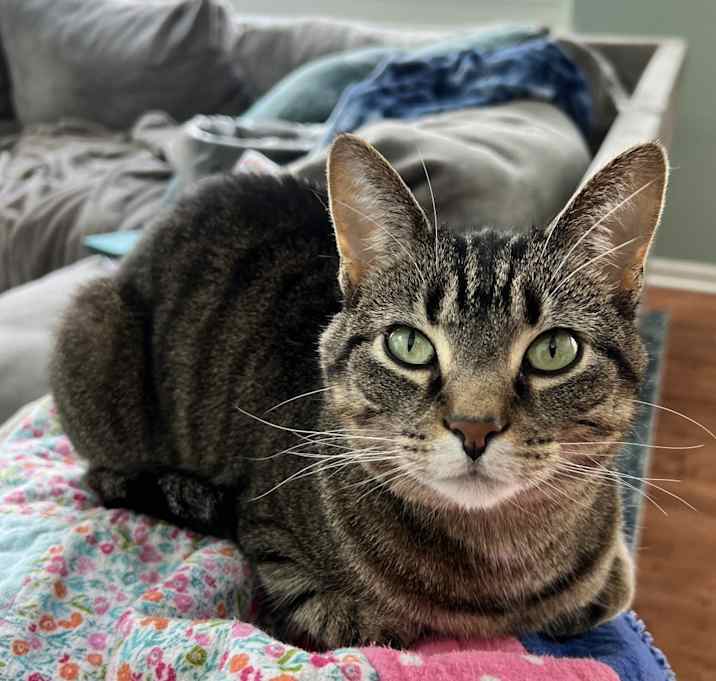 Photo of Cutie