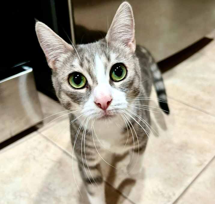 Photo of Poppy