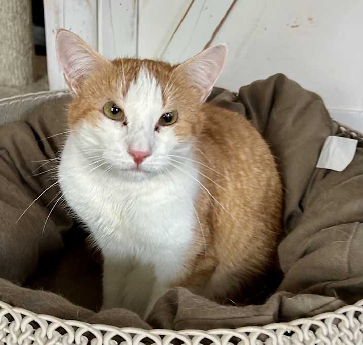 Photo of Tootles