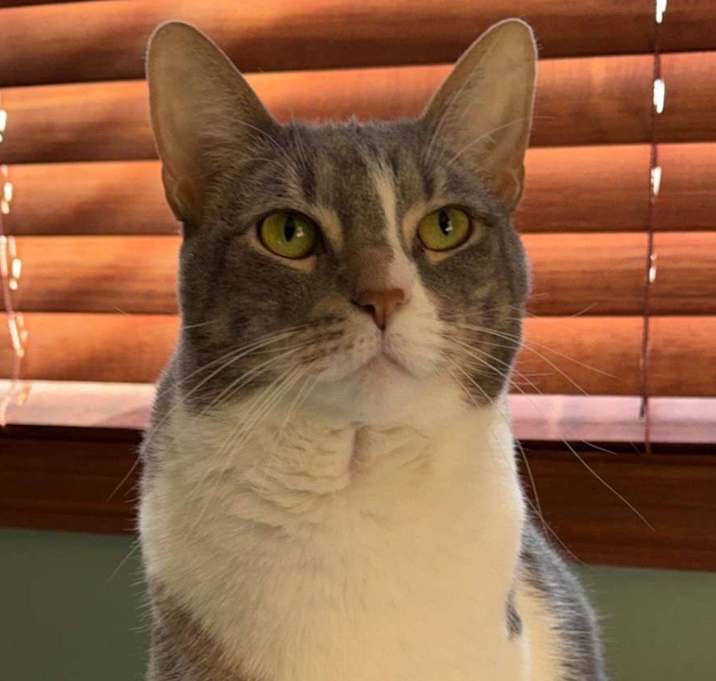 Photo of Katy Purry
