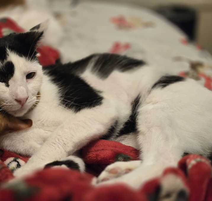 Photo of Mr. Bobbles