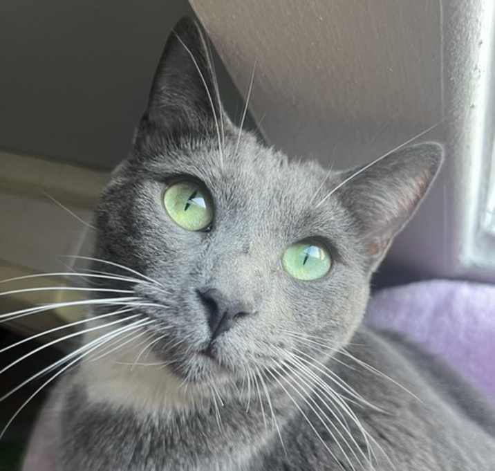 Photo of Bing Bong