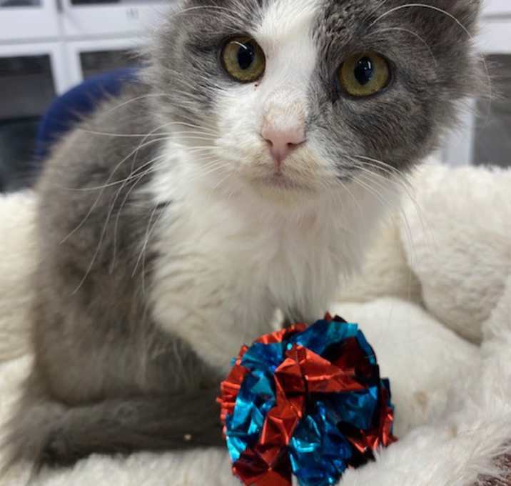 Photo of Ella Mae