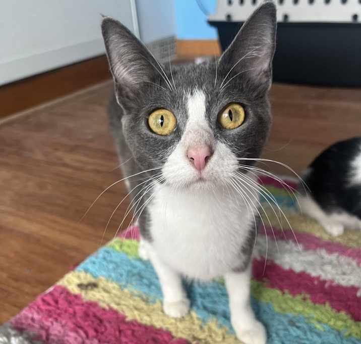 Photo of Hera