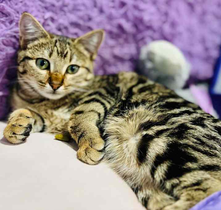 Photo of Bobbie
